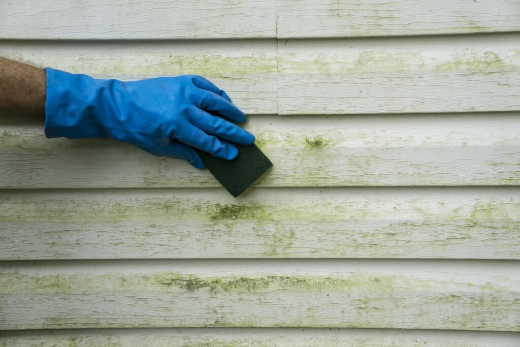 washing dirty over grown vinyl siding