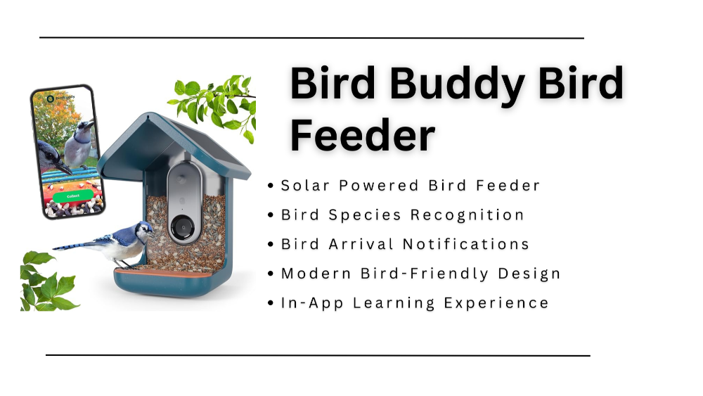 Window Bird Feeder